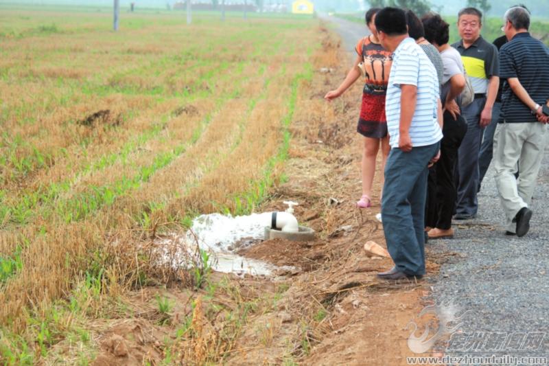 小農水出水口遍布田間地頭