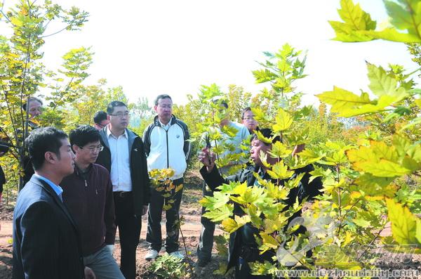 學員們來到苗圃基地，聽合作社理事長楊玉池（右一）講解剪枝方法。